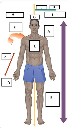 oec flashcards